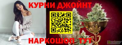 шишки Будённовск