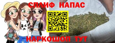 шишки Будённовск
